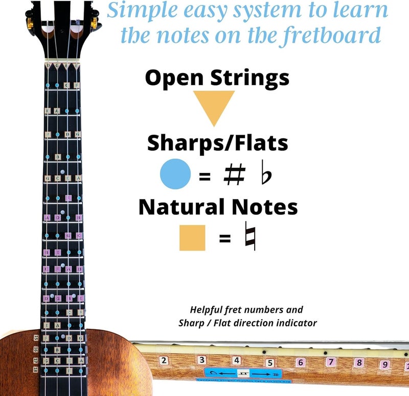 FFG NOTE THE DIFFERENCE Fantastic Finger Guide for Baritone Ukulele | Fretboard & Fingerboard Stickers | Learn to Play Ukulele - Image 2
